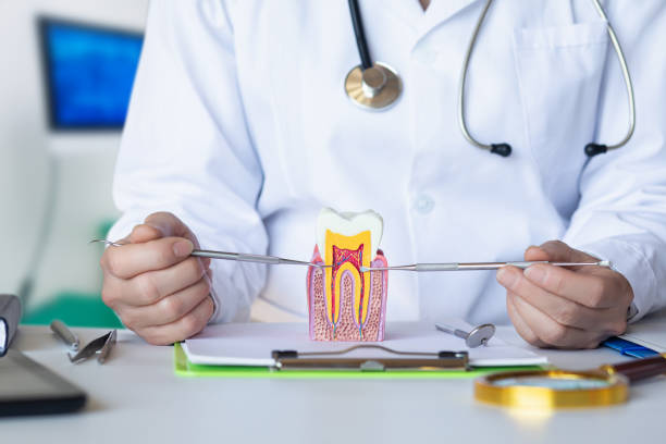 Best Emergency Dental Care for Broken or Chipped Teeth in Albertson, NY
